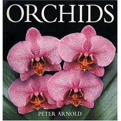 Orchids