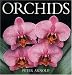 Orchids