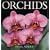 Orchids