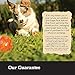 Eagle Pack Natural Dry Large Breed Dog Food, Chicken & Pork, 15-Pound Bag