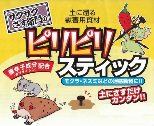サクサクさす衛門のピリピリスティック（30本）