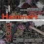 MUSIC FOR HAMMERS & STICKS
