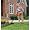 Black & Decker NST2018 18-Volt Cordless Electric 12-Inch Grass Hog String Trimmer With Two Batteries