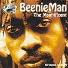 The Magnificient