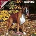   - Boxer (US) 2009 Wall Calendar