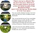 Book The Mega How To Earn Extra Money, Marketing and Success Principles for Badminton Shuttlecocks Internet Businesses 3 CD Power Pack
