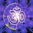 Shabda (A Psychedelic Trance Experience)