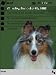Shelties Theme