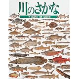 商品の詳細