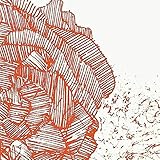 [Image: 61KEnnaUeSL._AA160_.jpg]