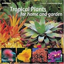 Tropical Plants for Home and Garden
