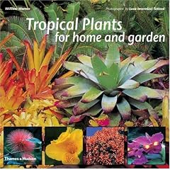 Tropical Plants