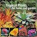 Tropical Garden Plants