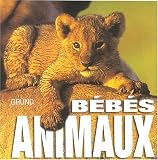 B�b�s animaux