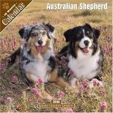 Australian Shepherd 2008 Wall Calendar