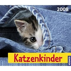 Katzenkinder 2008