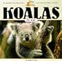 Koalas for Kids (Wildlife for Kids Series)