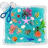 Discovery Box for Sensory Play - Ocean Exploration Theme