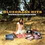 Bluegrass Hits