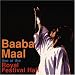 Live Festival Hall