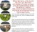 Search : The Quick and Easy Make An Extra Income, Inner Game and eCommerce for Martial Arts Training Equipment Web Businesses 3 CD Power Pack