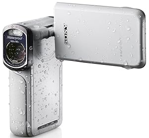 Sony HDR-GW77V/W High Definition Handycam 20.4 MP Camcorder with 10x Optical Zoom (White)