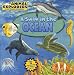 Animal Explorers: A Swim in the Ocean