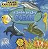 Animal Explorers: A Swim in the Ocean (Animal Explorers)
