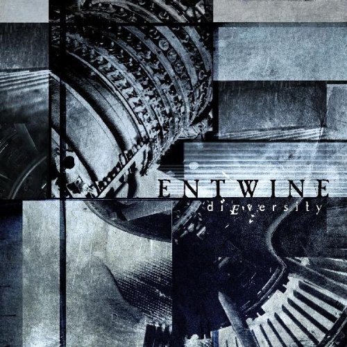 Entwine - Bleeding For The Cure Lyrics - Zortam Music