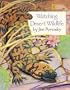Watching Desert Wildlife (Younger Reader)