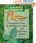 Canoe Country Flora: Plants and Trees of the North Woods and Boundary Waters
