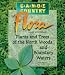 Book Canoe Country Flora: Plants and Trees of the North Woods and Boundary Waters