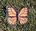 Monarch Butterfly Garden Stone [Kitchen]