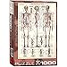 EuroGraphics Skeletal System (Chart) Puzzle (1000-Piece)