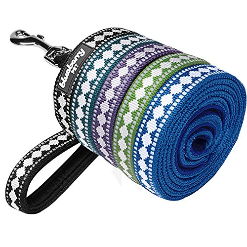 Blueberry Pet Leashes for Dogs 1" by 4-Feet Long 3M Reflective Jacquard Dog Leash in Teal Blue with Neoprene Padded Handle, Large