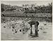 1930 Japanese Lotus Flower Pond Man Japan Photogravure - Original Photogravure