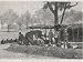 Jigsaw of EVENTS/AFRICA/GAMBIA from Mary Evans