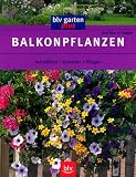 Balkonpflanzen - Ausw&auml;hlen - Gestalten - Pflegen - Eva-Maria Geiger