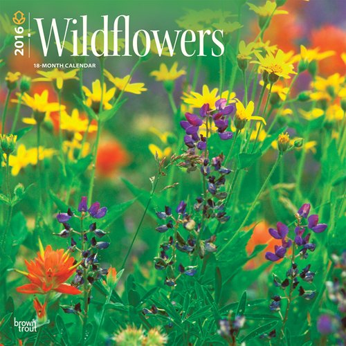 Wildflowers 2016 Square 12x12