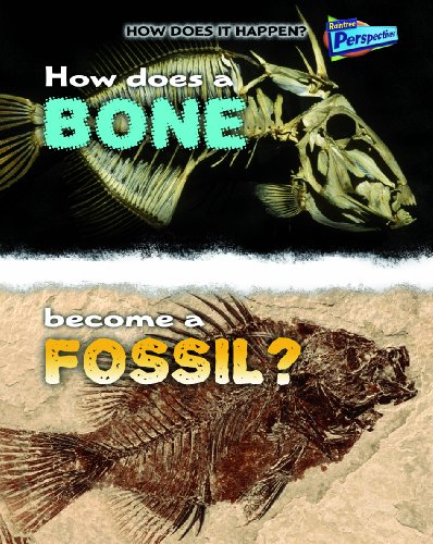 How Does A Bone Become A Fossil? (How Does It Happen?)