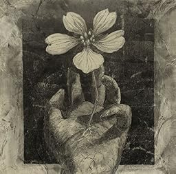 UNDERWORLD.( 通常盤 )