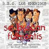 Se buscan fulmontis