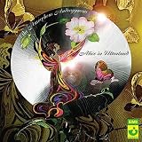 Review Future Sound Of London  / Alice in Ultraland