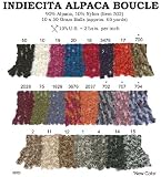 Alpaca Boucle Color Card