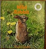 The wild rabbit