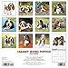 2016 Just Basset Hound Puppies Wall Calendar