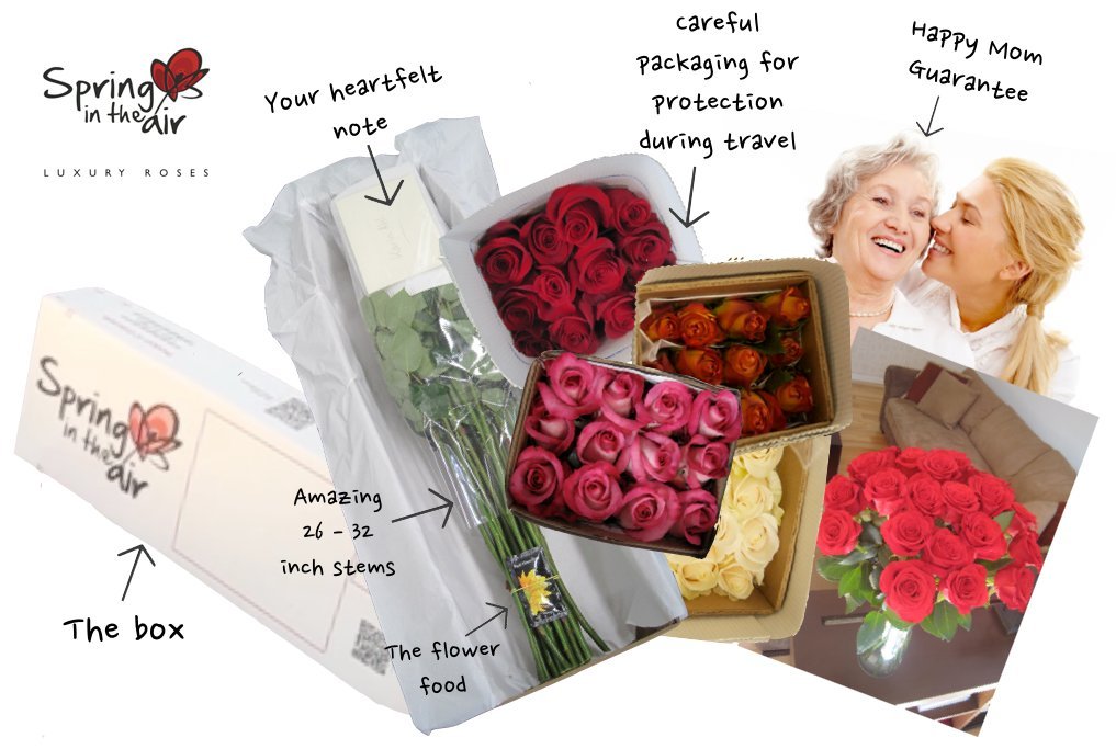 Flower Delivery Flower Delivery Boxes Box Information