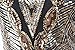 PrettyGuide Women's 1920s Gatsby Sequin Art Deco Scalloped Hem Inspired Flapper Dress M Gold