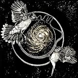 Sky Swallower