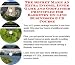 The Secret Make An Extra Income, Inner Game and Godfather Principles for Basketry On-line Businesses 3 CD Course